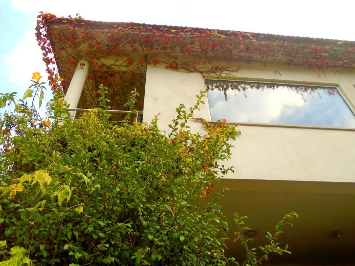 The Nest ~ Your Best Rest Sever do Vouga Bagian luar foto
