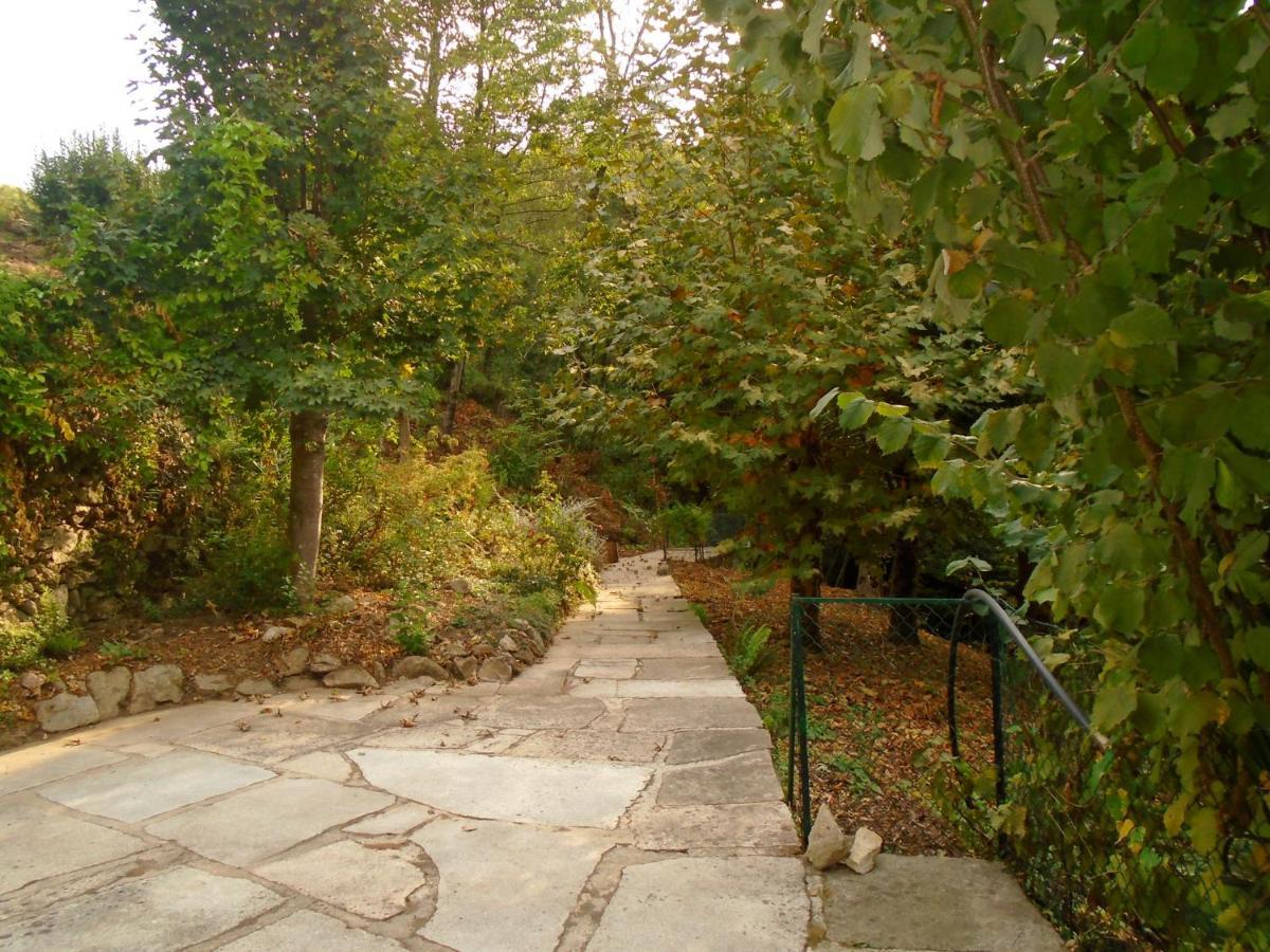 The Nest ~ Your Best Rest Sever do Vouga Bagian luar foto