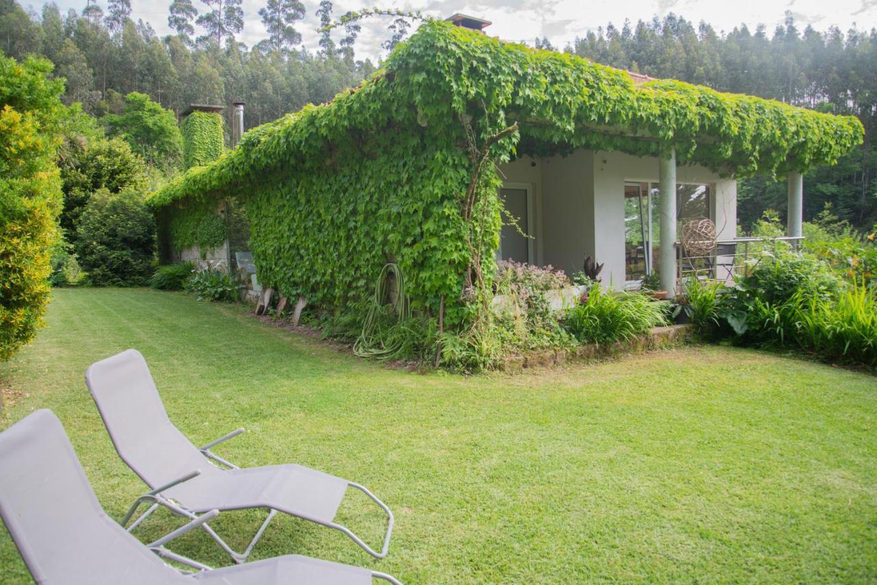The Nest ~ Your Best Rest Sever do Vouga Bagian luar foto