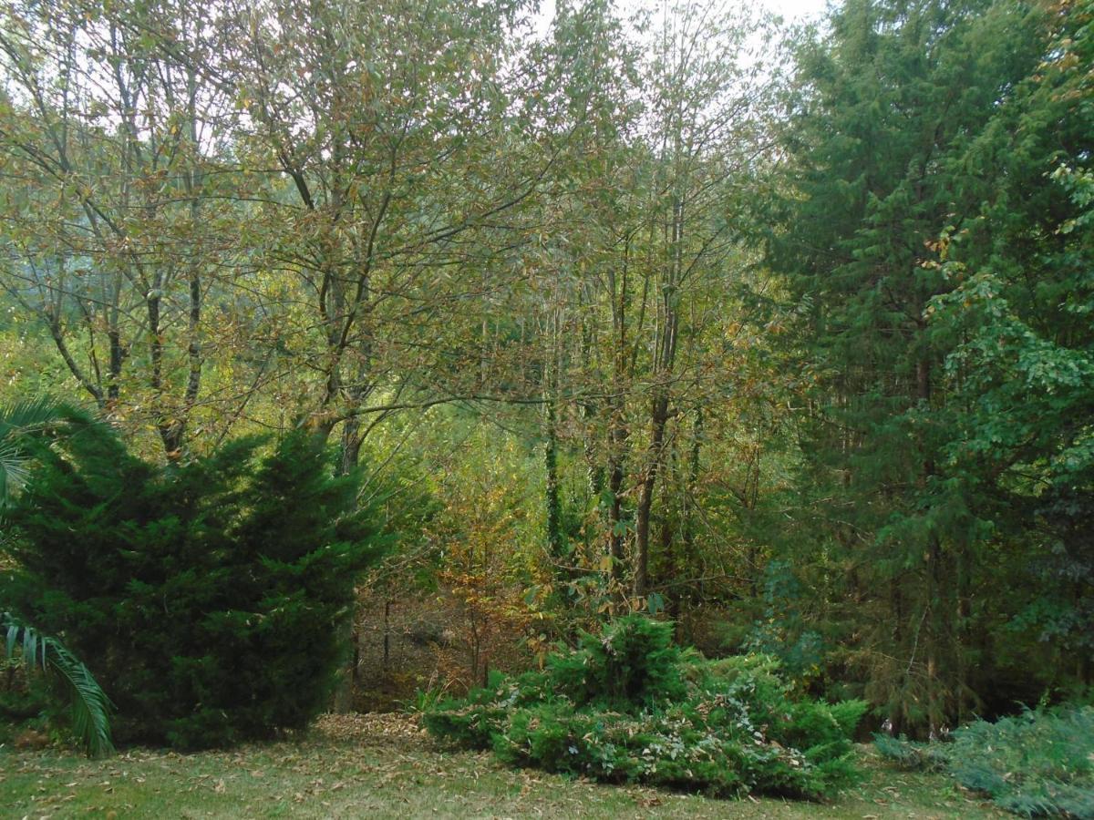 The Nest ~ Your Best Rest Sever do Vouga Bagian luar foto