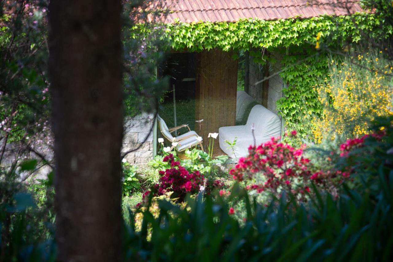 The Nest ~ Your Best Rest Sever do Vouga Bagian luar foto
