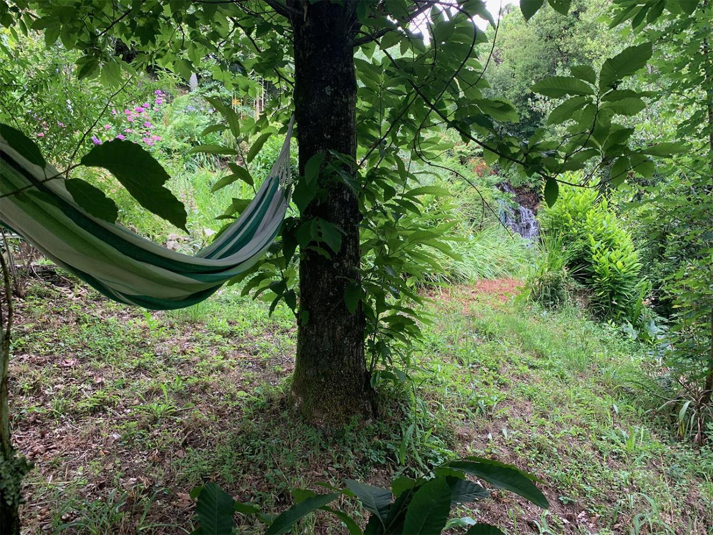 The Nest ~ Your Best Rest Sever do Vouga Bagian luar foto